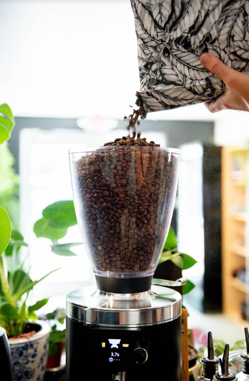 Coffee beans pouring