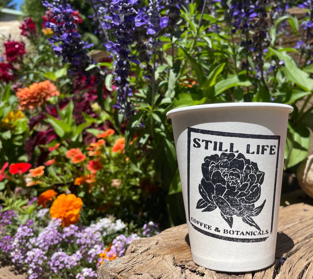 Coffee cup in garden